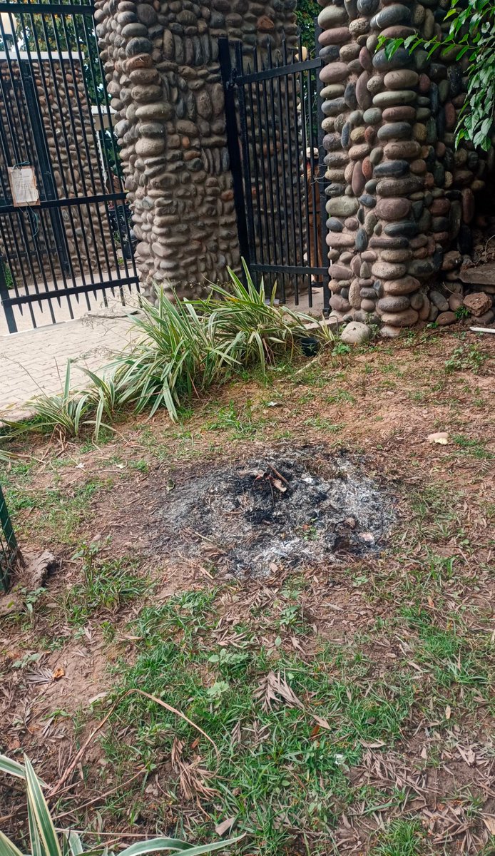 Thakurrsjamwal2's tweet image. T-53/199

Thick toxic smoke from burning leaves right outside @UniversityJammu gate.
No concern from University or PCB ?
Please note @CPCB_OFFICIAL for N/A 🙏
@moefcc  @ugc_india 

@over2shailaja @yashoazad @CRajiva 
@ajaykraina @BhavreenMK  @JayaKReports  @divya_gandotra