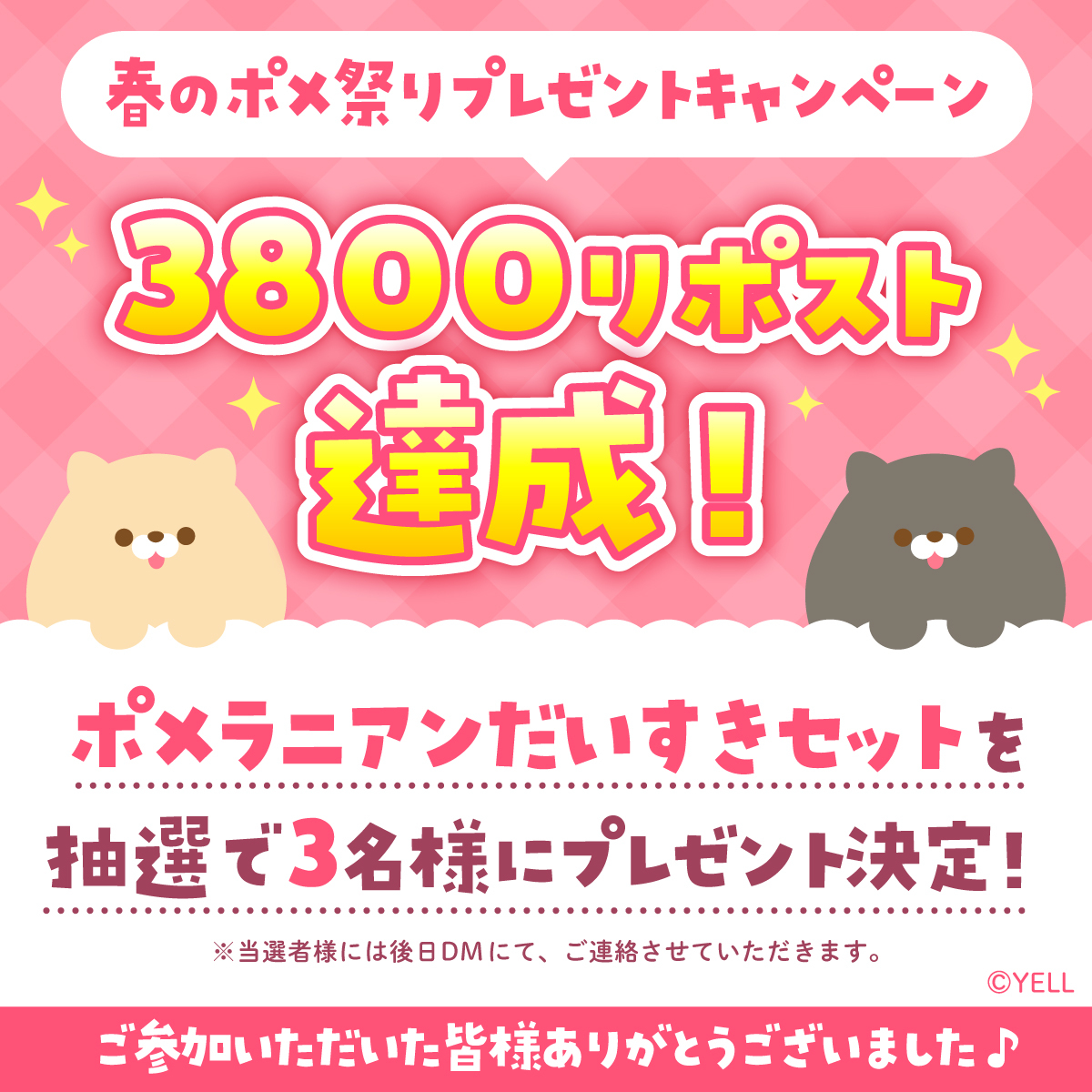 ／
#春のポメ祭り プレゼント企画
けっかはっぴょう🎉
＼

✨祝‼ 3800リポスト達成✨
たくさんのご参加、
本当にありがとうございました🐾

2000リポストを超えたので…
「ポメラニアンだいすきセット」を
抽選で【3名様】にプレゼントしちゃいます🎀