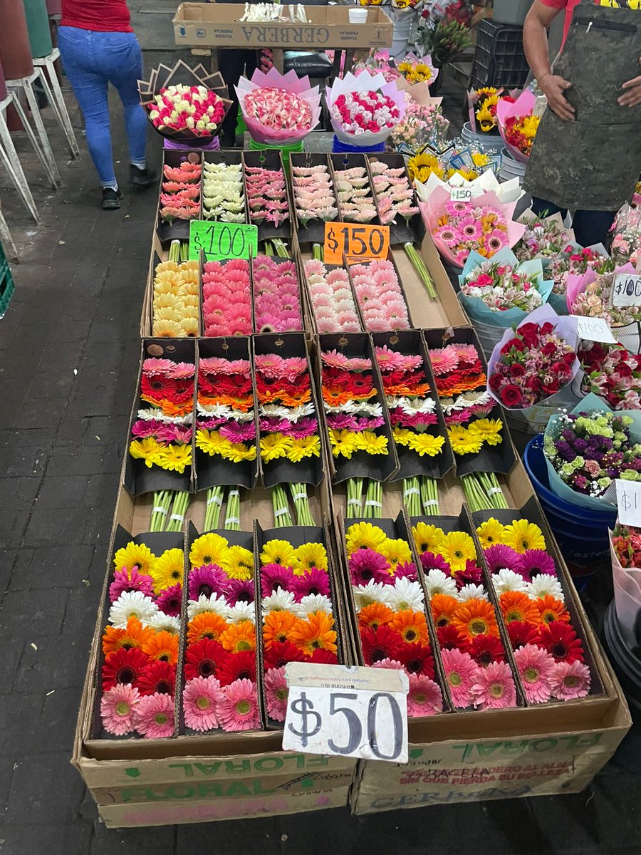 Reyesetth's tweet photo. Con la llegada de fechas especiales como el 10 de mayo, comienzan las jornadas más intensas. El mercado se llena de vida, pero también de largas horas de trabajo que no dan tregua.

6/7 https://t.co/qUFSLifcEt