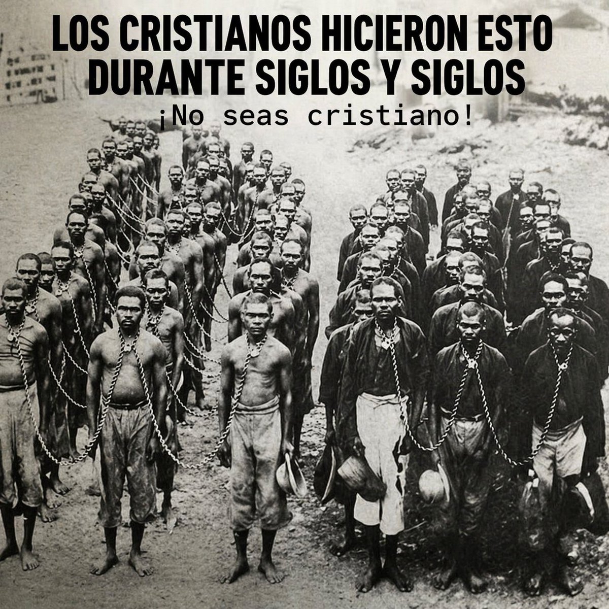 El Profe Rural tweet media