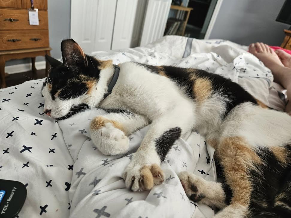 Sara Mary ⭐❤️ tweet media