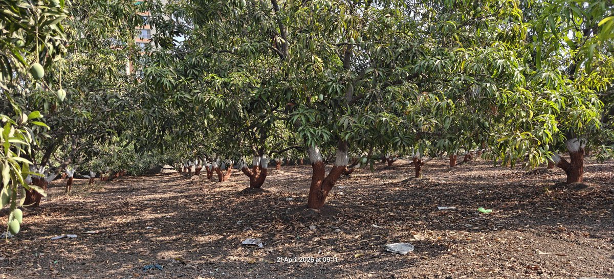 Darvas Box Trader tweet media