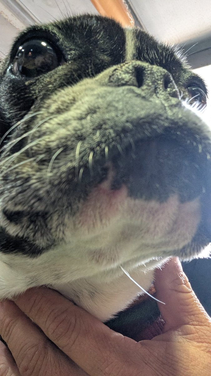 久しぶりに会えたー😍ハァハァハァ