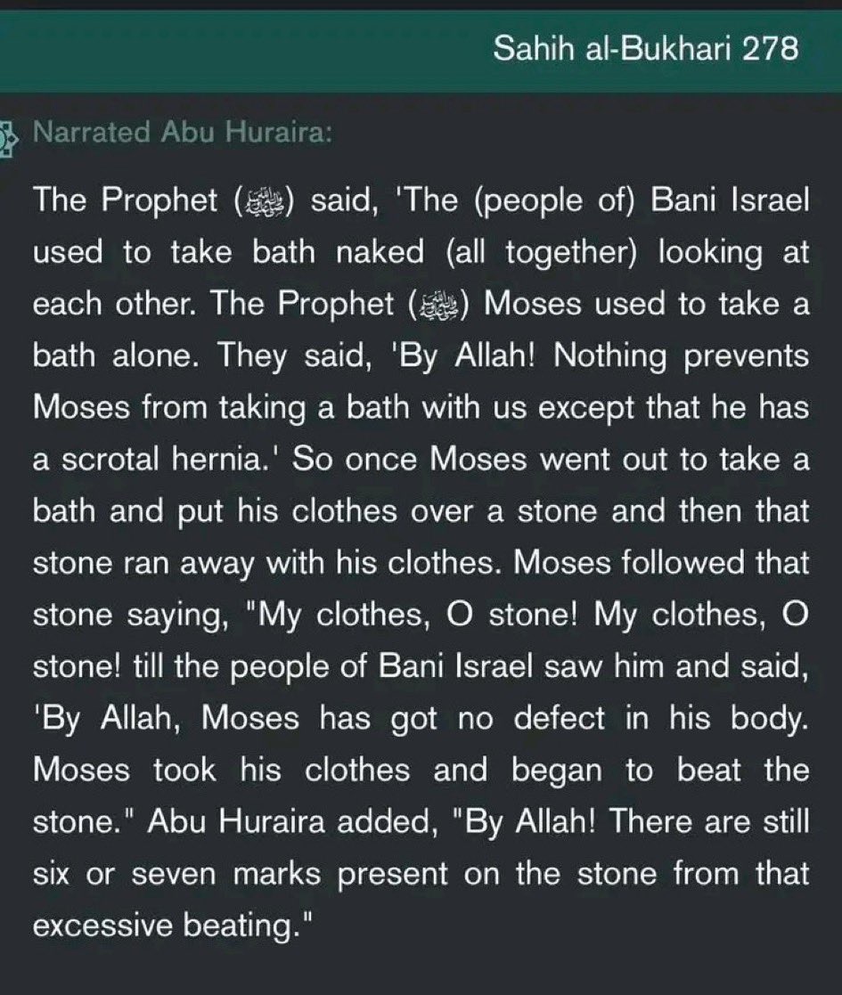 Teutonic Knight tweet media