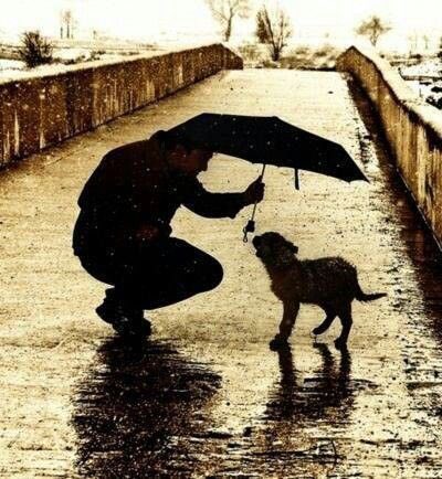 Rebeka80721106's tweet image. “Il bello lo cerco solo nelle cose. Nelle persone cerco il Vero”.
@DonatoMarinelli @Dida_ti @DavLucia @albertopetro2 @SalaLettura @Mercurimc @sorridicncausa @672Cilia @scimonelli @redne2013 @Biagio960 
#BuongiornoATutti🌺
#GoodMorningEveryone
#HappyTuesday 
#BomDia 
#21aprile