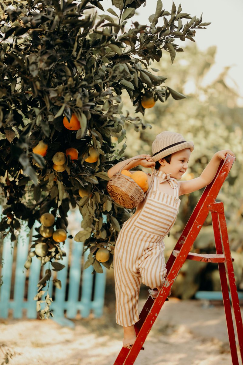 Ramsha Ali tweet media