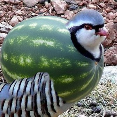 Gerhard Fanta (True Man) tweet media