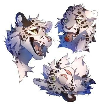 0Matou2's tweet photo. @CrumbFur I actually need one so... If I win you'll be the one to create it (If you want a character, like already made I have one but I don't like it) Here are some reference of what I want my character to be :3 
ALSO CONGRATULATIONS 🎊 https://t.co/QDzC4OlbEt