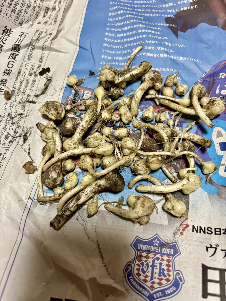 テチガイ tweet media