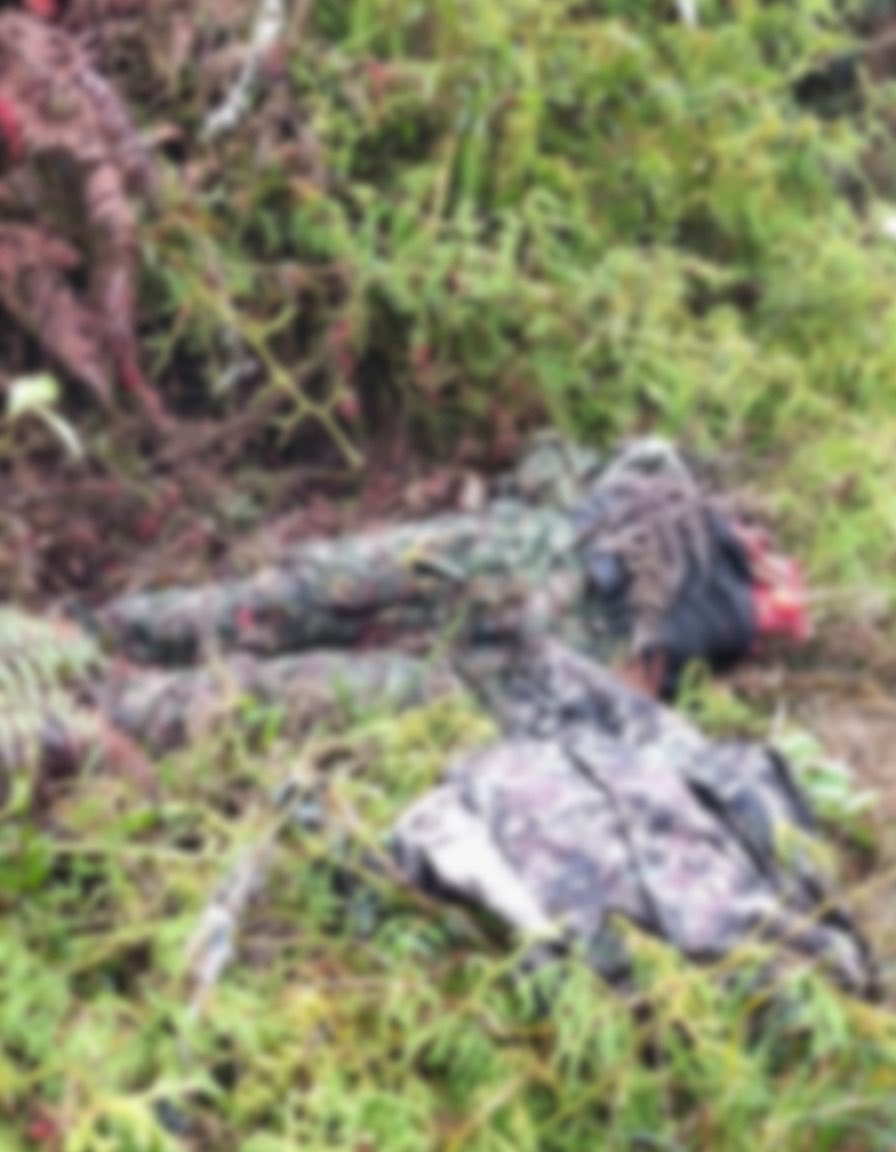 Melquisedec Torres tweet media