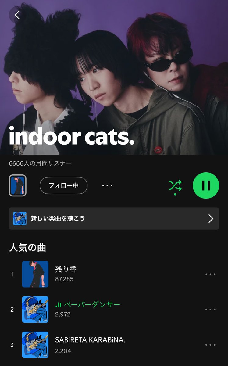 __winered_'s tweet image. 6666✨ #indoorcats .