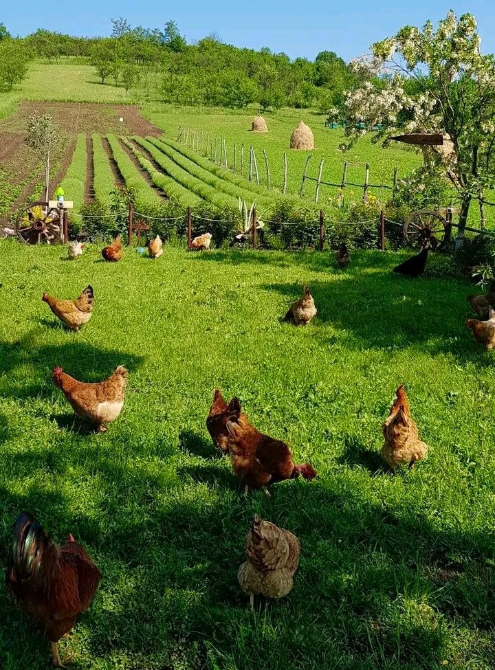 شيماءツ❥ tweet media