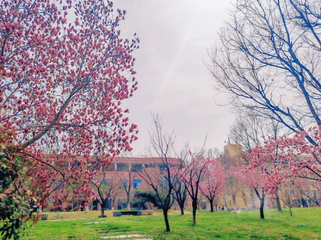 Layndro tweet media