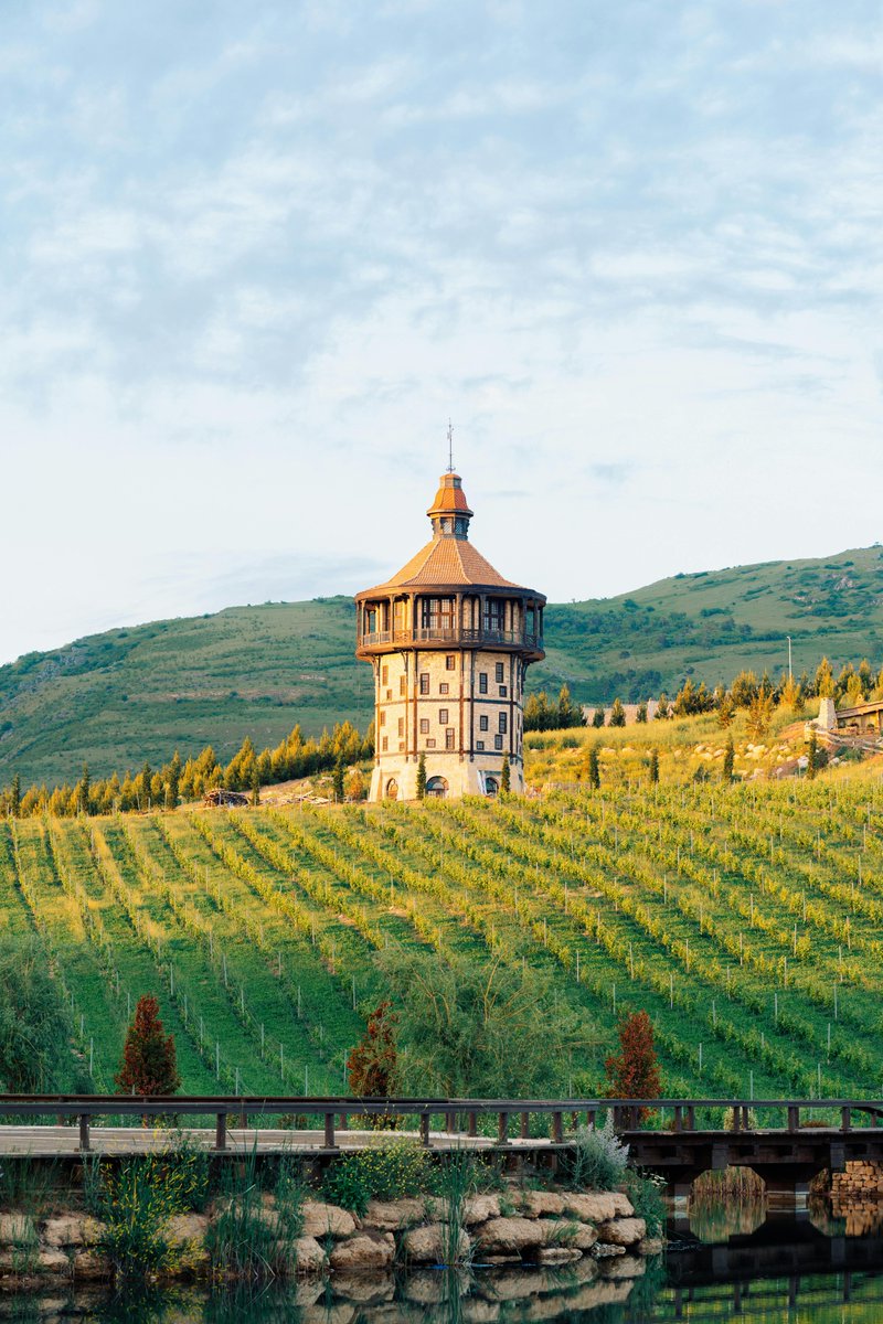 luis vinces tweet media