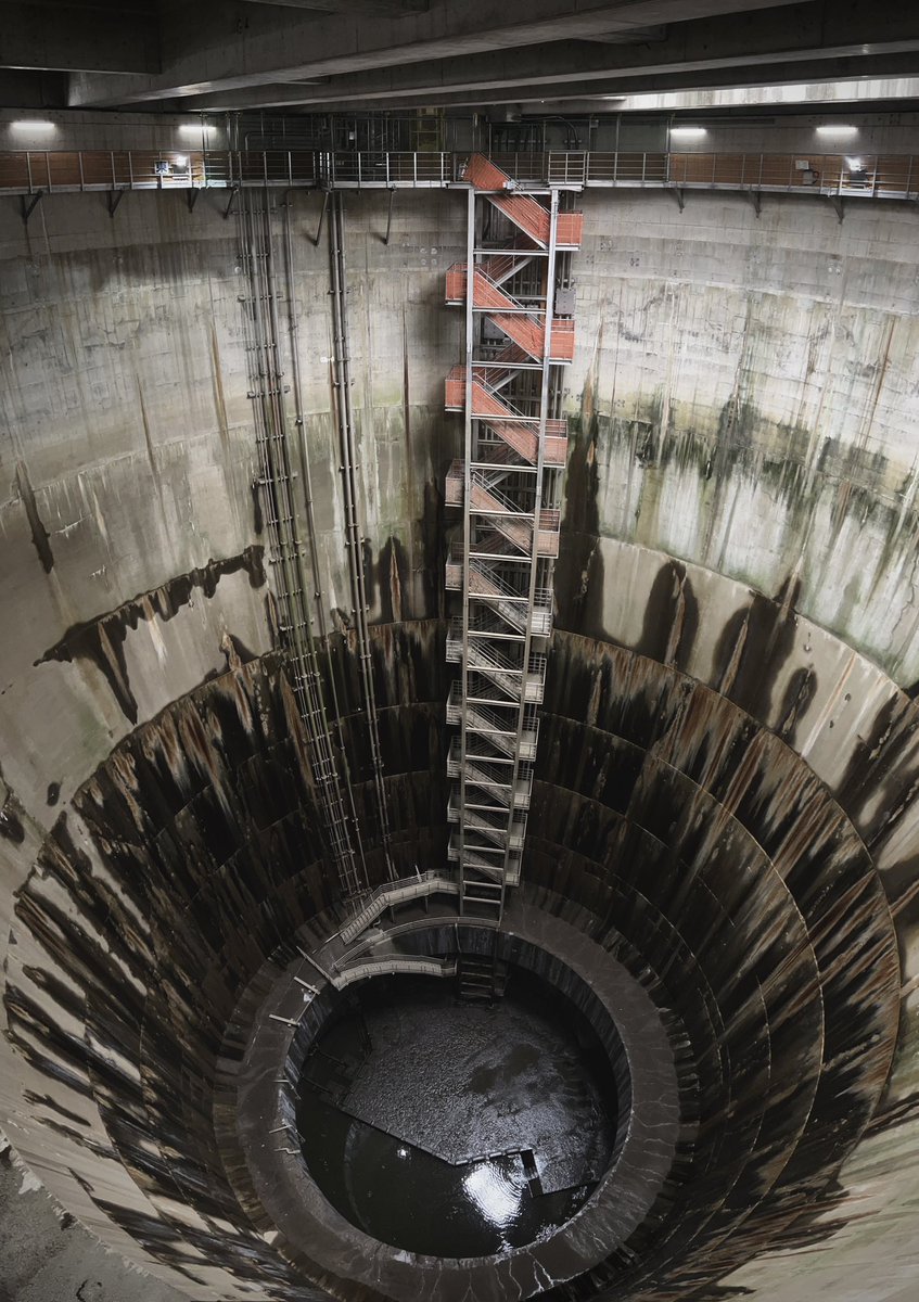 あきま tweet media