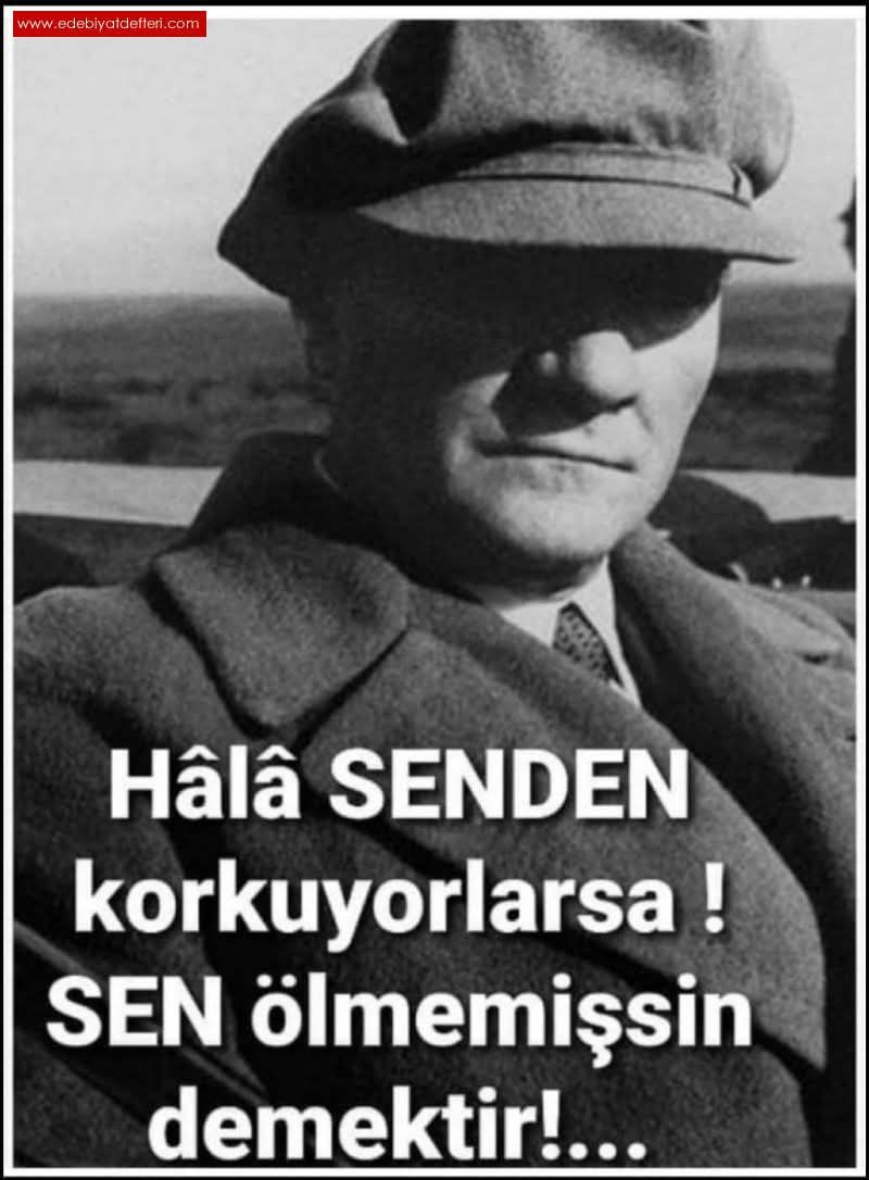 Yasemin_SARAÇLAR_GİRGİN tweet media