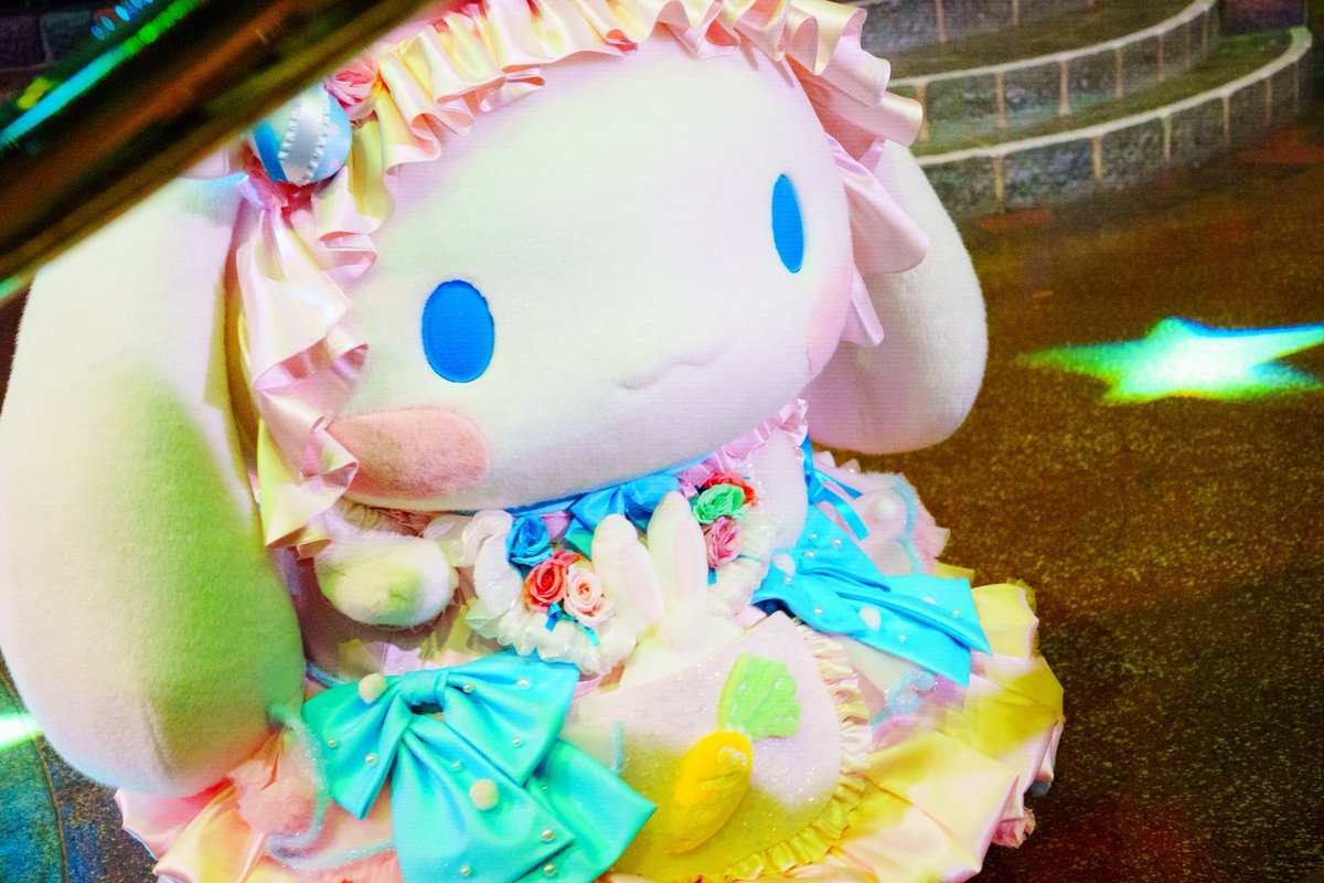 シナモンに会いたいなぁ☁️🥕