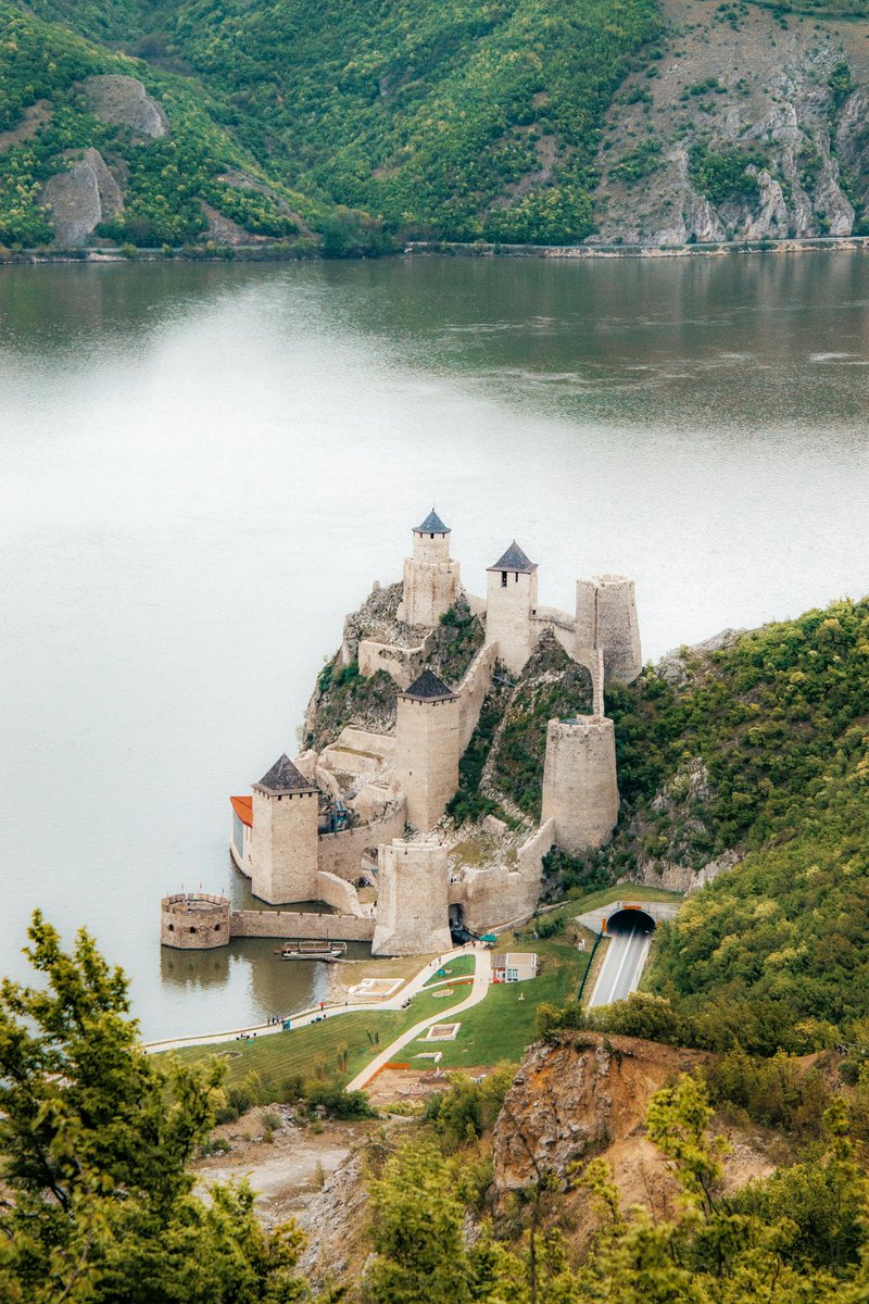 Cathy Grace Calataro tweet media