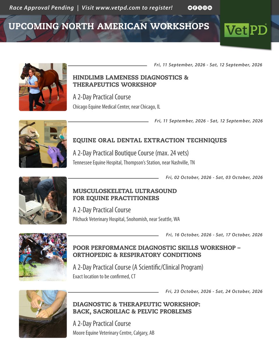 VetPD's tweet image. Mark your Equine CE calendar 

Expert-led MasterClasses, Panels &amp;amp; Hands-on Workshops. 
Built for real-world decision-making.

Learn online. Learn globally. 
Visit zurl.co/pU4EH to secure your place 

#EquineVet #VetPD #VeterinaryEducation