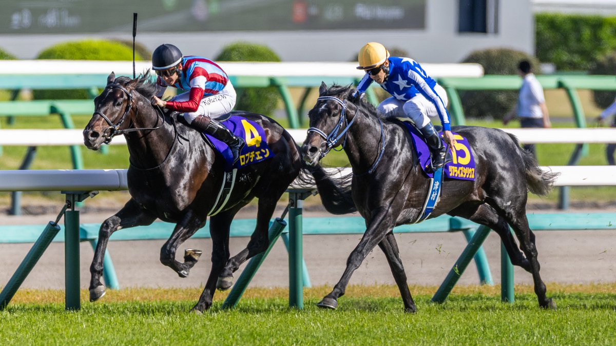 hayashi tweet media