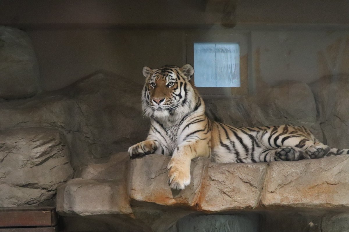 みずなちゃんかも ⚡︎ tweet media