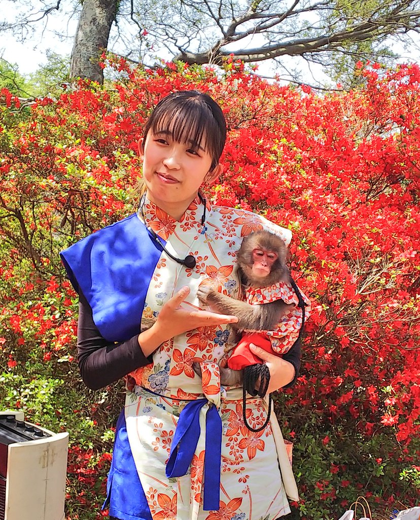 そして… 糸島のつつじの中で
こちらの美人コンビさんと🐒👩🎶

#浮嶽幸花樹園
#糸島市
#つつじ
#猿回し
#奏-かなで-
#花音ちゃん・りなトレーナー
#福岡モンキーズ 
#二助企画