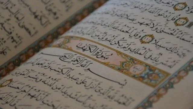 Media Rapid News tweet media