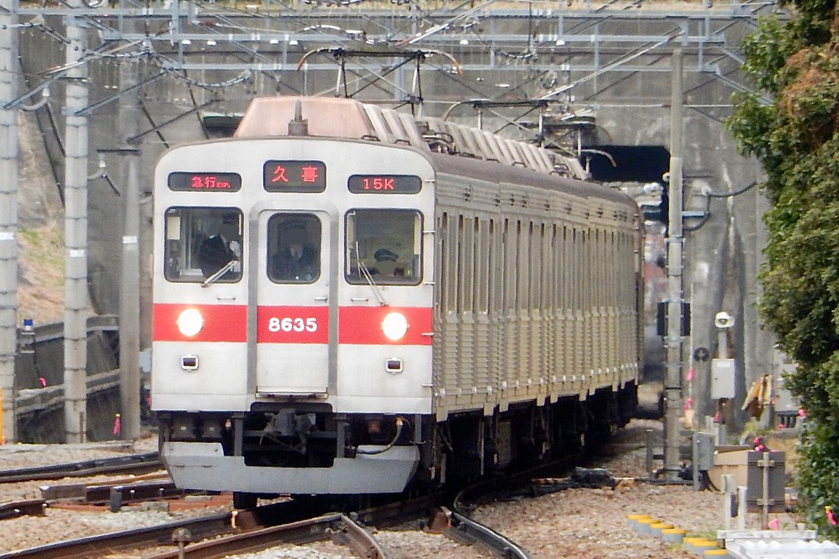 TransNana tweet media