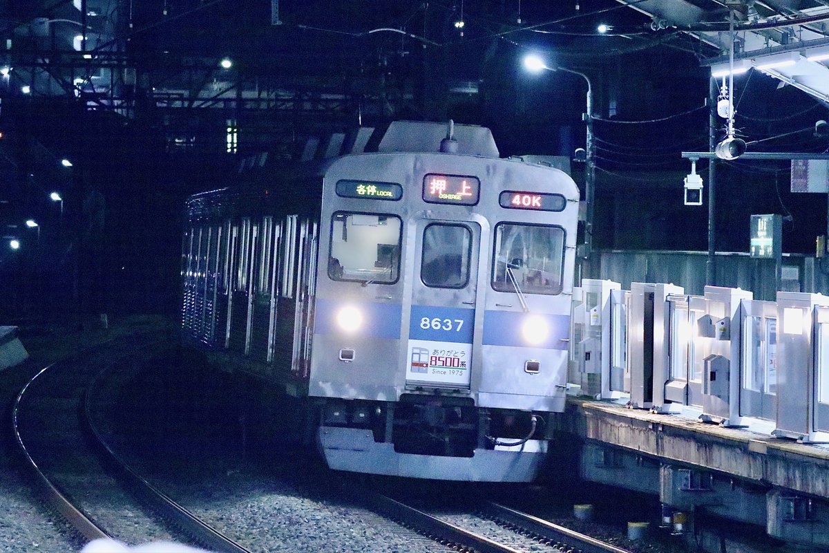 TransNana tweet media