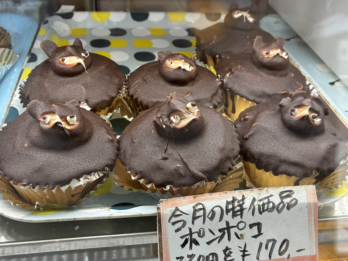 ポンポコ
₍ᐢ⓿ᴥ⓿ᐢ₎

 #お菓子の香久堂