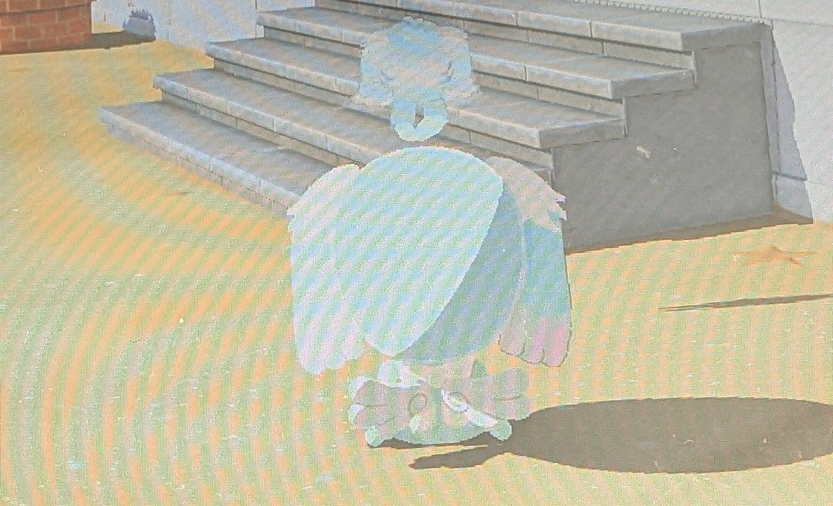 クローム🕊‎ tweet media