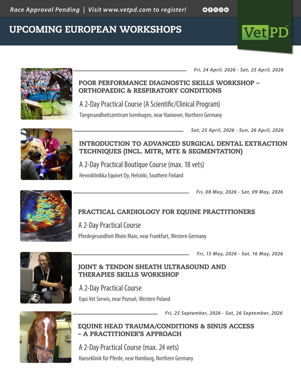 VetPD's tweet image. Mark your Equine CE calendar 

Expert-led MasterClasses, Panels &amp;amp; Hands-on Workshops. 
Built for real-world decision-making.

Learn online. Learn globally. 
Visit zurl.co/pU4EH to secure your place 

#EquineVet #VetPD #VeterinaryEducation