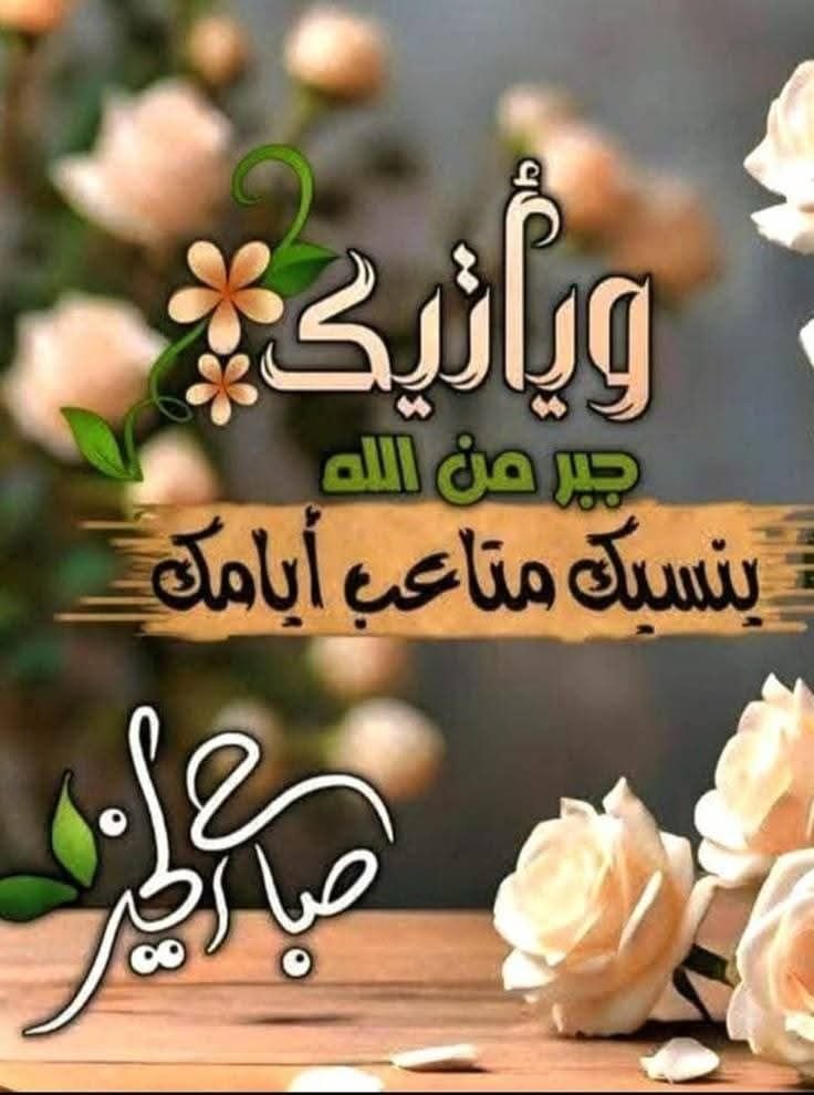 🔻Elsayed Hamdy tweet media