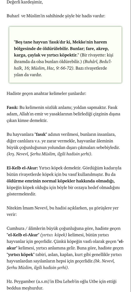 fbsp's tweet photo. @therizgo @Sozyuku Kafadan atma yoksa cehenneme deki yerine hazırlan çünkü din konusunda delilsiz konuşanı peygamber efendimizin s.a.v böyle tehdit etmiş https://t.co/D63X6XXAEF