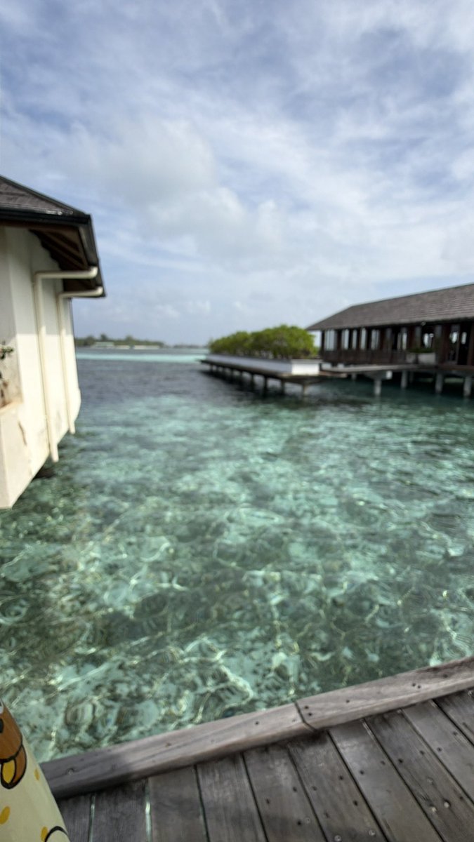 zip6000's tweet photo. Maldives is worth every kobo! 🥹 https://t.co/rDAkLvERBr