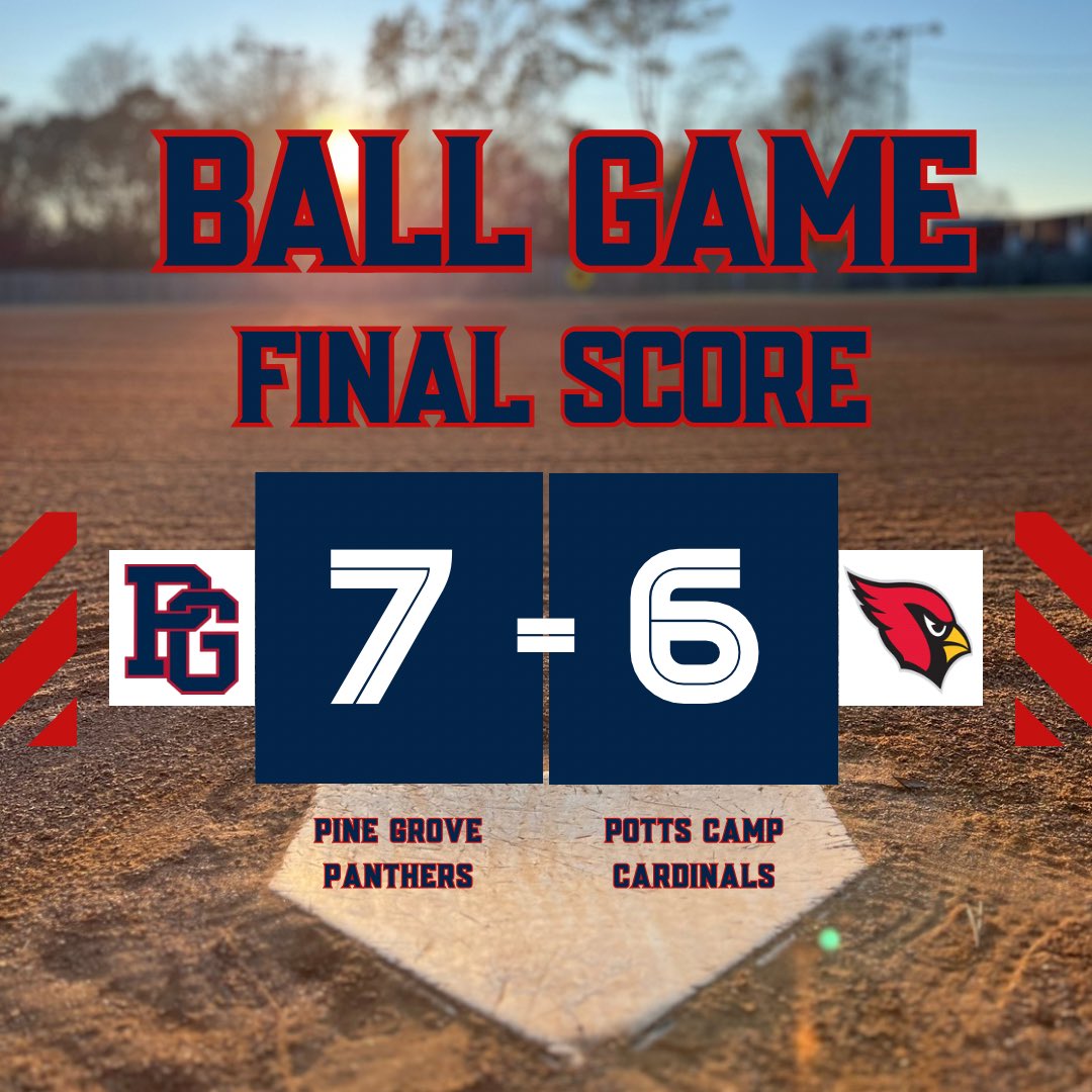 Pine Grove Softball tweet media