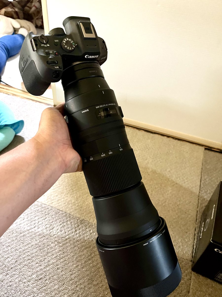 k_kapy's tweet photo. 改めまして、わっひょ〜い！！

#EOSR7 開封です！！

さっそく試し撮りしてきたけど、AIの言うところのEOS KissＸ10と比べて別次元の撮影体験は嘘じゃ無かったと実感(っ ॑꒳ ॑c)
今日はやべぇしか言ってないよꉂ🤣𐤔

しっかり機能把握してクオリティアップ目指して頑張るぞー( ´∀｀) https://t.co/E3D4oCenTO