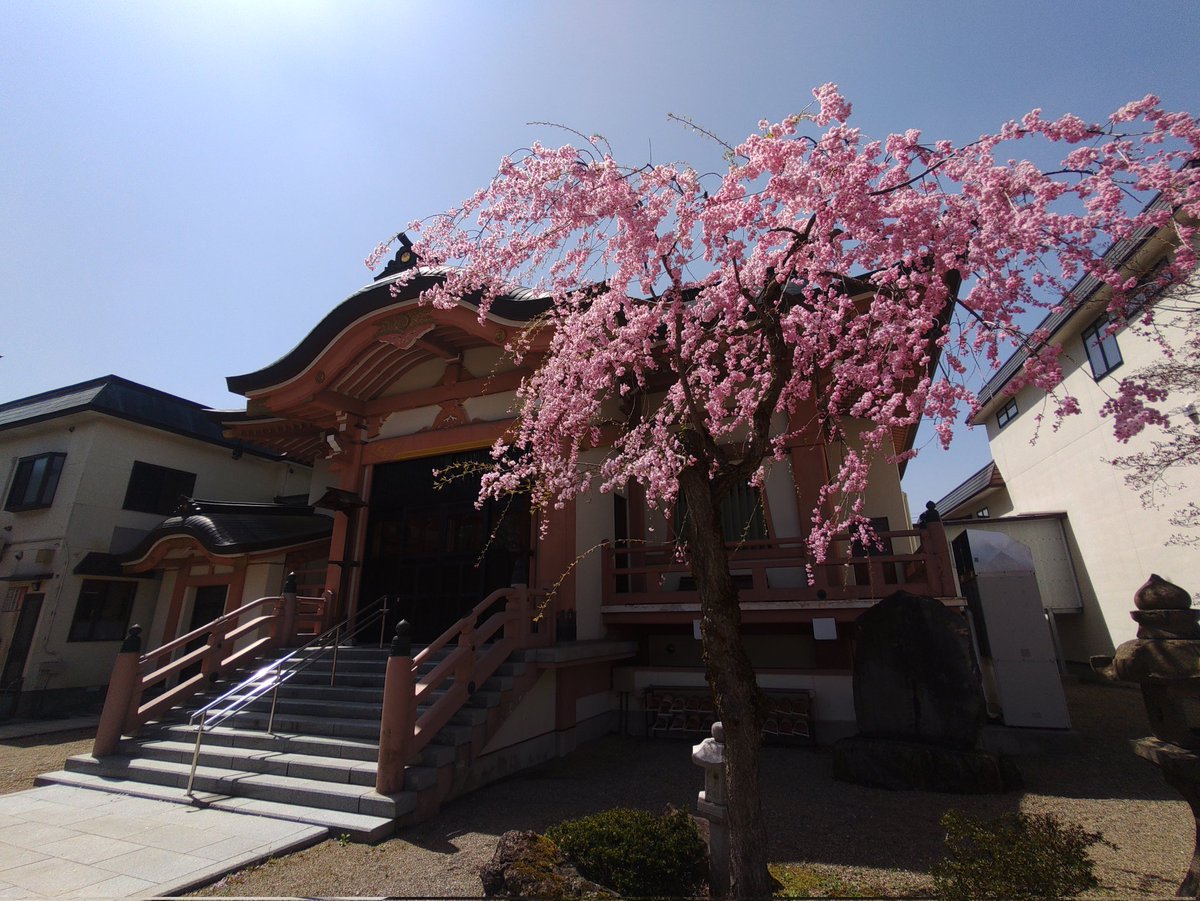 カメさん tweet media