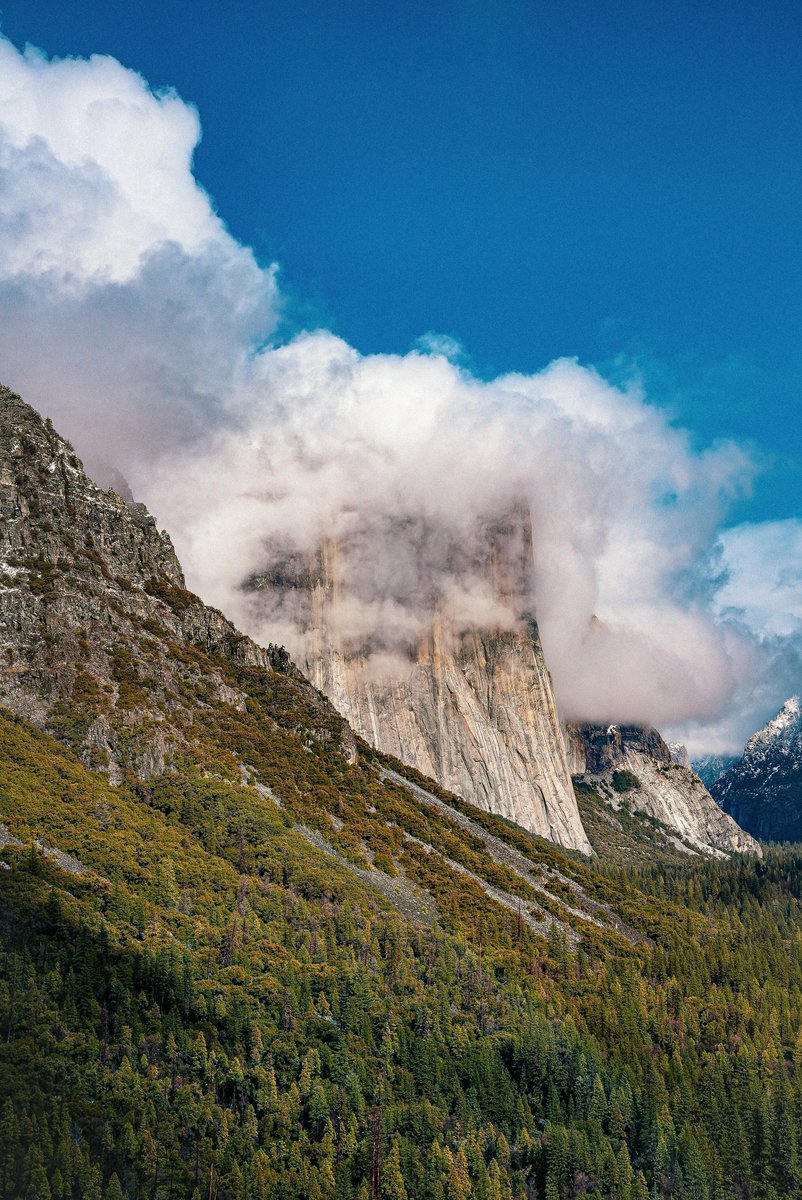 joseph yang tweet media