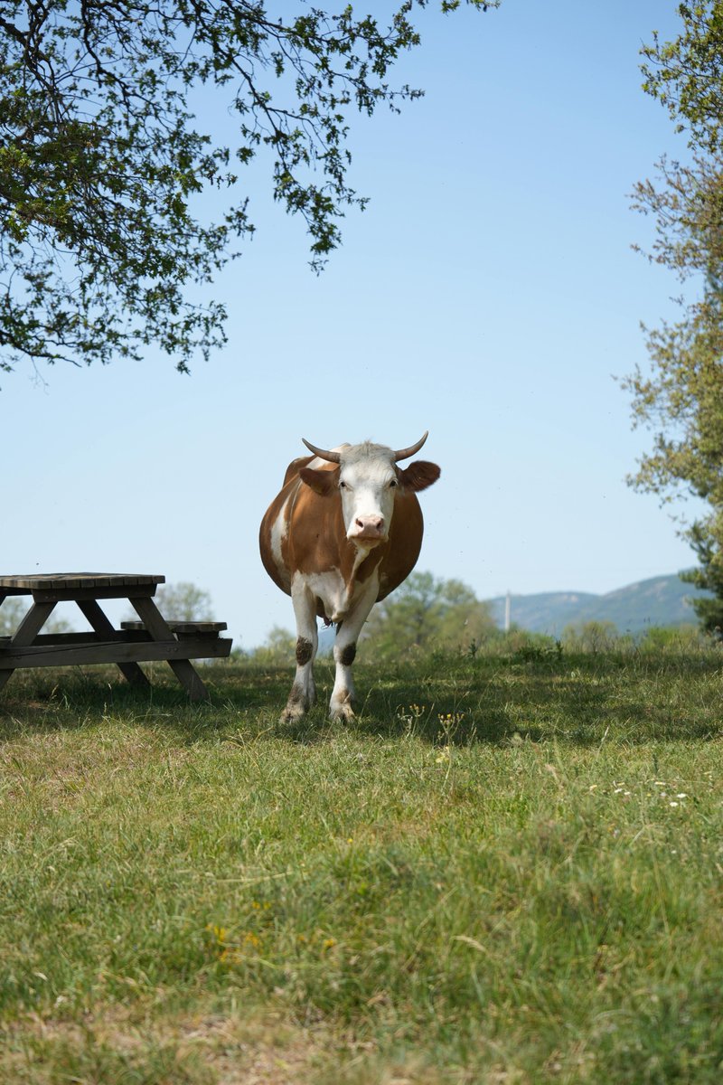 HyperLiquidX | Event Is live! tweet media