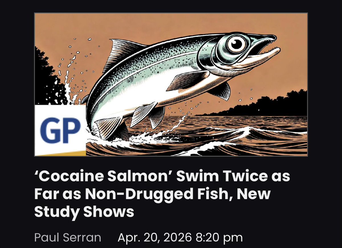 AwakenedOutlaw⚒️ tweet media