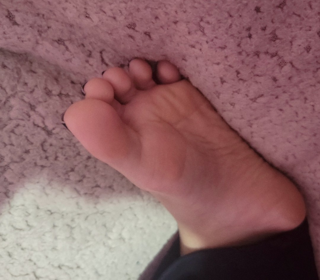 Bella ♕ tweet media