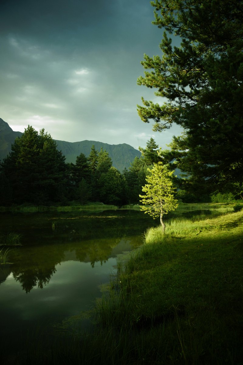 ETH Strаtеgy | Staking is Live! tweet media