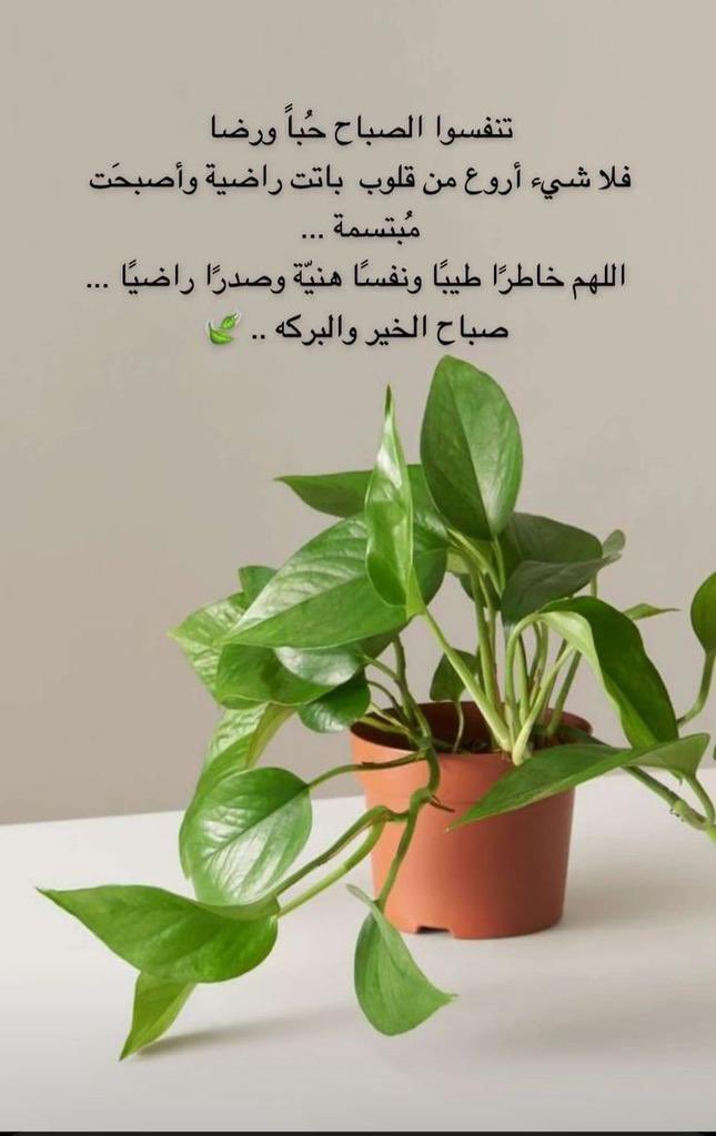 دلوعة الغيم💦 (@nooryhnoory1) on Twitter photo 