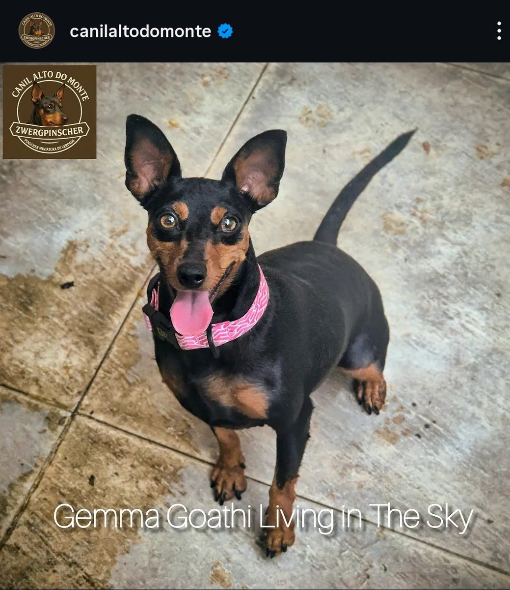 Carol ❤️‍🔥 tweet media