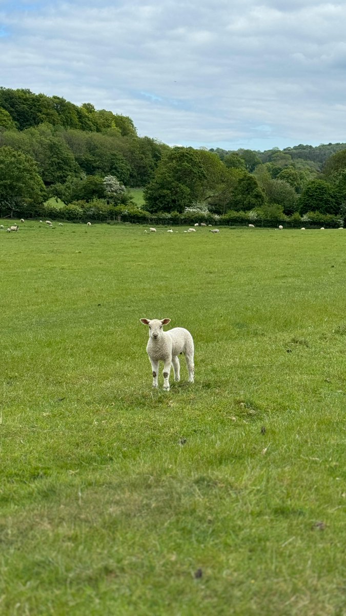 جودز،،💓 جودز،،💓 tweet media