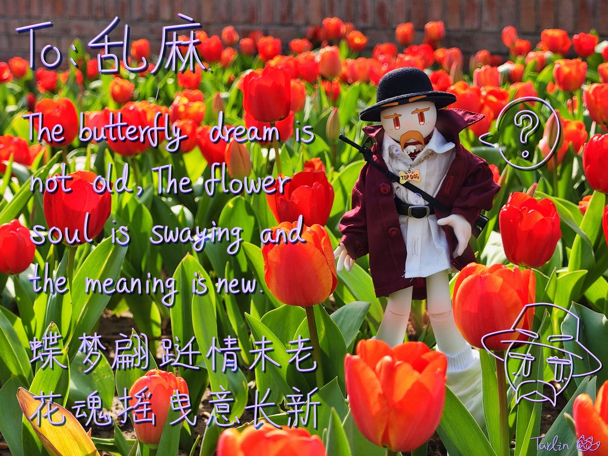 TangJun_Tarlin's tweet photo. 写上头了，同���满足了玩娃娃，拍照，画画和搞R雷四个欲望，好舒服
#THSC #copperright 
Anyone who wants me to write something for you, leave your favorite quote in the comments!
I’ll write it out for you after I finish taking photos this weekend! https://t.co/qzChFD7s1j