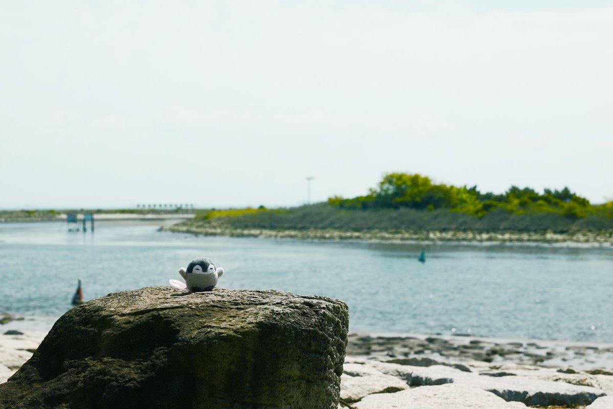 Akio Shimamura tweet media