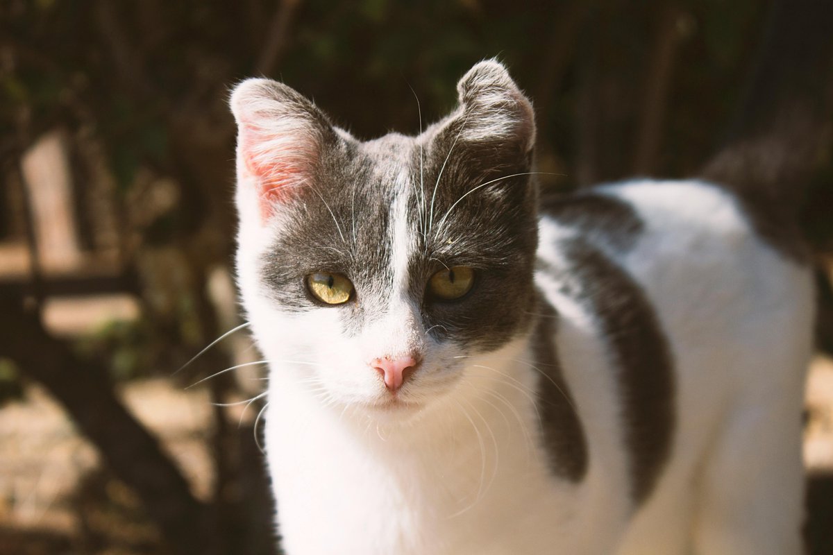 maram.43 tweet media