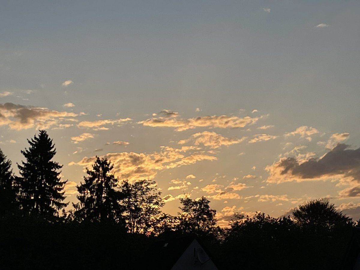 Petra Zoffmann 🕊️🇦🇹 🇮🇩 tweet media